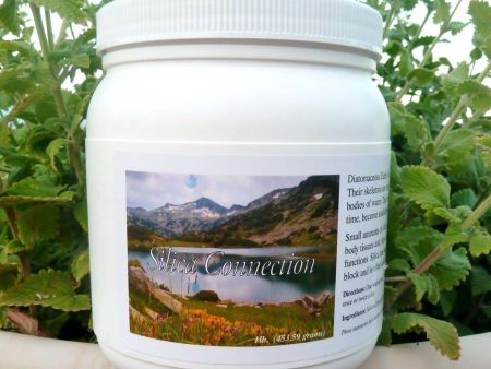 Silica Connection Diatomaceous Earth, 16oz - Perma Guard - SOI* Online