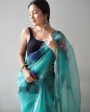 Vamsee Dillagi Sky Organza Saree Supply